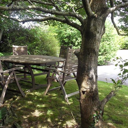 Ethan House Holiday Suites Killarney Bagian luar foto
