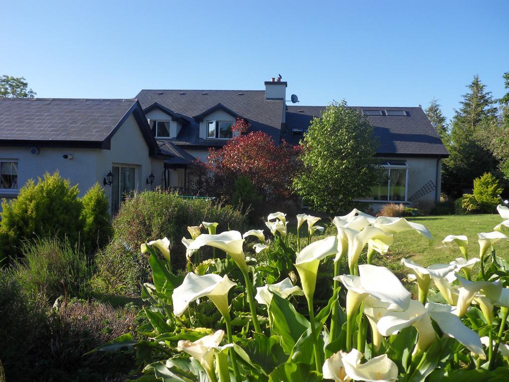 Ethan House Holiday Suites Killarney Bagian luar foto