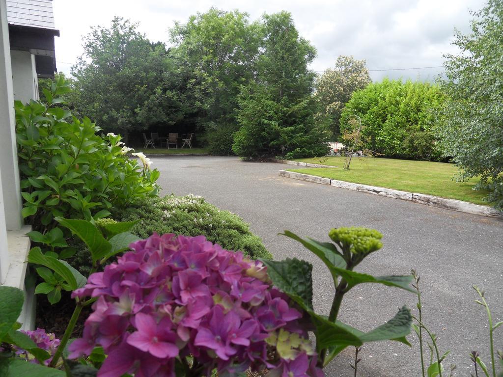 Ethan House Holiday Suites Killarney Bagian luar foto