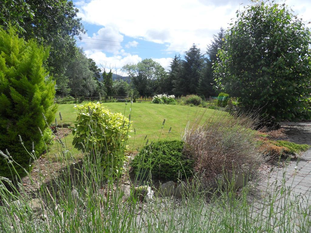 Ethan House Holiday Suites Killarney Bagian luar foto